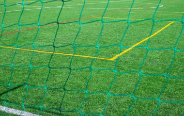 Futbol sahasında doğal çimenler görünüyor.