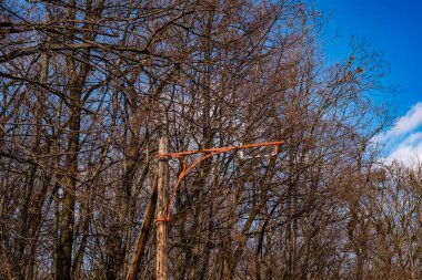 Romanya 'nın Sibiu kentindeki orman yakınlarındaki eski bir tramvaydan eski tahta direklerle elektrik kabloları