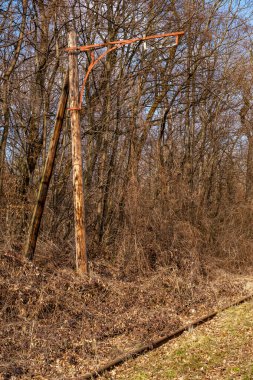 Romanya 'nın Sibiu kentindeki orman yakınlarındaki eski bir tramvaydan eski tahta direklerle elektrik kabloları