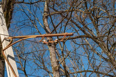 Romanya 'nın Sibiu kentindeki orman yakınlarındaki eski bir tramvaydan eski tahta direklerle elektrik kabloları