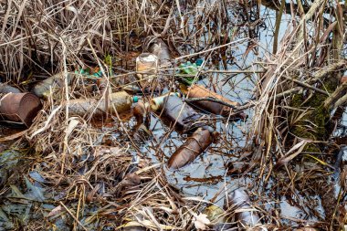 Çeşitli atık nesneleri su bitkileriyle karışmış halde gölette yüzerler.