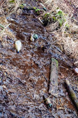 Çeşitli atık nesneleri su bitkileriyle karışmış halde gölette yüzerler.