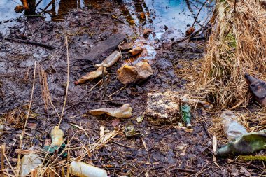 Çeşitli atık nesneleri su bitkileriyle karışmış halde gölette yüzerler.