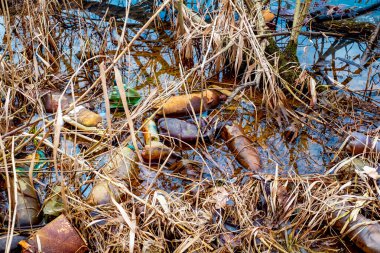 Çeşitli atık nesneleri su bitkileriyle karışmış halde gölette yüzerler.