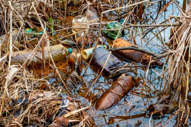 Çeşitli atık nesneleri su bitkileriyle karışmış halde gölette yüzerler.