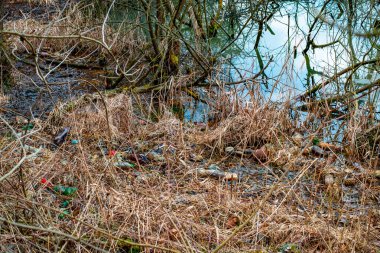 Çeşitli atık nesneleri su bitkileriyle karışmış halde gölette yüzerler.