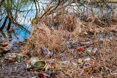 Çeşitli atık nesneleri su bitkileriyle karışmış halde gölette yüzerler.