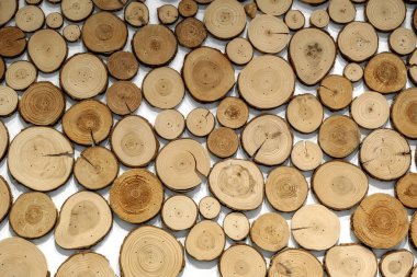 Wood circles pattern of cutted tree trunks. The round pieces are of different sizes