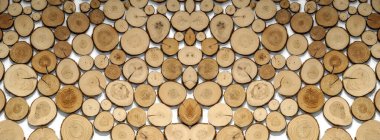 Wood circles pattern of cutted tree trunks. The round pieces are of different sizes