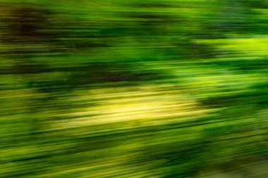 Yüksek hızlı tren penceresinden dinamik hareket bulanık görünümü: Yeşil manzara, ağaçlar ve alanlar yüksek hızda hızla geçiyor