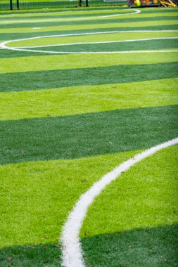 Freshly Cut Green Grass with Diagonal Lines