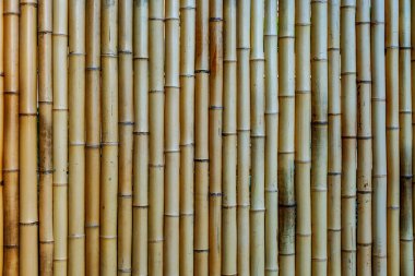 Doğal bambu çit arka plan duvar deseni