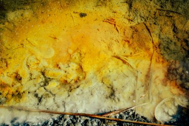 Gölün kenarı zehirli madencilik kimyasallarıyla kirlenmiş.