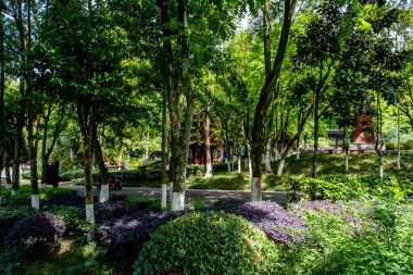 Chongqing, China - May 02, 2025 Chongqing Garden Expo Park is a thoughtfully designed combination of ecological restoration, cultural exhibit, and horticultural artistry, Yubei District Longjing Lake