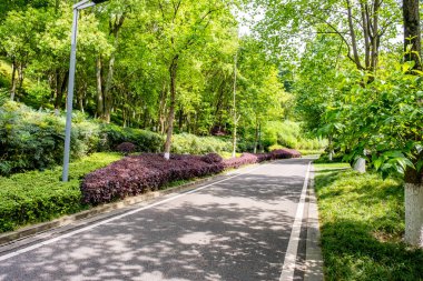 Chongqing, China - May 02, 2025 Chongqing Garden Expo Park is a thoughtfully designed combination of ecological restoration, cultural exhibit, and horticultural artistry, Yubei District Longjing Lake