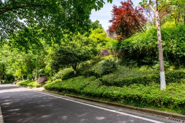 Chongqing, China - May 02, 2025 Chongqing Garden Expo Park is a thoughtfully designed combination of ecological restoration, cultural exhibit, and horticultural artistry, Yubei District Longjing Lake