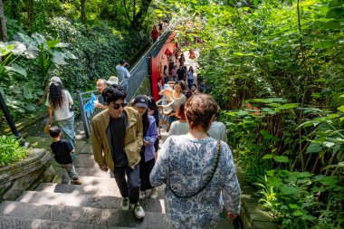 Chongqing, China - May 01 2025. Walking through a mega city with skyscrapers and charming historic buildings, in a vibrant tapestry of cultures, The streets are alive with a mix of locals and tourists