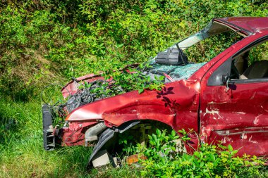 Ağır hasarlı bir araba çimenlik bir alanda aşırı büyümüş bir yeşillik tarafından yutuldu. Aracı çevreleyen çalılar ve ağaçlar, yaprakların arasından süzülen güneş ışığı.
