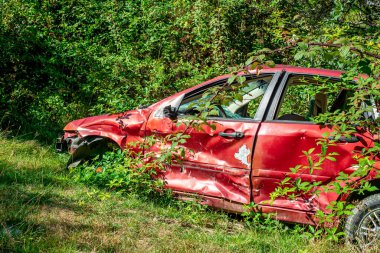 Ağır hasarlı bir araba çimenlik bir alanda aşırı büyümüş bir yeşillik tarafından yutuldu. Aracı çevreleyen çalılar ve ağaçlar, yaprakların arasından süzülen güneş ışığı.