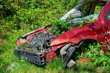 Ağır hasarlı bir araba çimenlik bir alanda aşırı büyümüş bir yeşillik tarafından yutuldu. Aracı çevreleyen çalılar ve ağaçlar, yaprakların arasından süzülen güneş ışığı.
