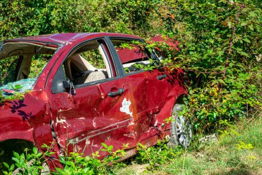 Ağır hasarlı bir araba çimenlik bir alanda aşırı büyümüş bir yeşillik tarafından yutuldu. Aracı çevreleyen çalılar ve ağaçlar, yaprakların arasından süzülen güneş ışığı.