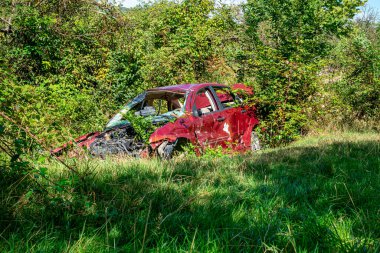 Ağır hasarlı bir araba çimenlik bir alanda aşırı büyümüş bir yeşillik tarafından yutuldu. Aracı çevreleyen çalılar ve ağaçlar, yaprakların arasından süzülen güneş ışığı.