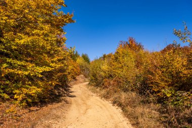 Romanya dağlarındaki güzel sonbahar manzaraları, Fantanele köyü bölgesi, Sibiu ilçesi, Cindrel dağları, Romanya