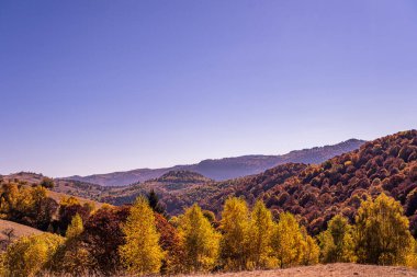 Romanya dağlarındaki güzel sonbahar manzaraları, Fantanele köyü bölgesi, Sibiu ilçesi, Cindrel dağları, Romanya