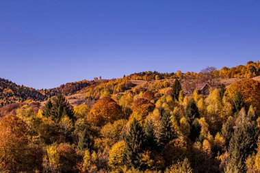 Romanya dağlarındaki güzel sonbahar manzaraları, Fantanele köyü bölgesi, Sibiu ilçesi, Cindrel dağları, Romanya