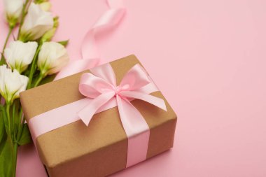 Pembe fiyonk ve çiçek pembe bir arka plan üzerinde mevcut kutusu