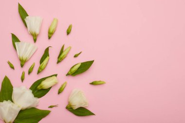 Pembe bac köşesinde tomurcukları ile beyaz eustoma bileşimi