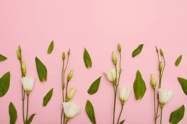 Padrão floral de lisianthus branco com copyspace — Fotografia de Stock