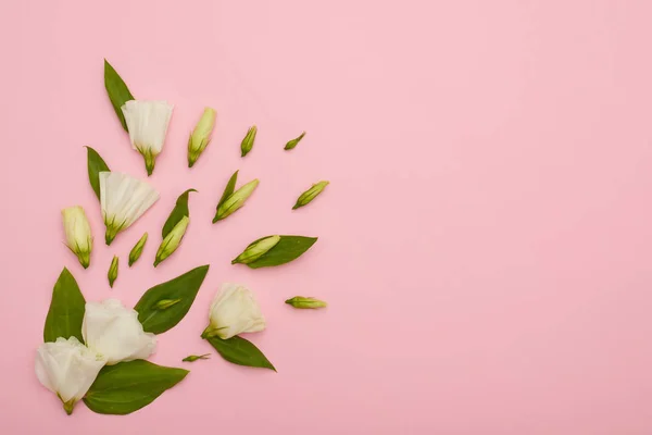 Květinové kompozice eustoma kytice na růžové flatlay Stock Obrázky