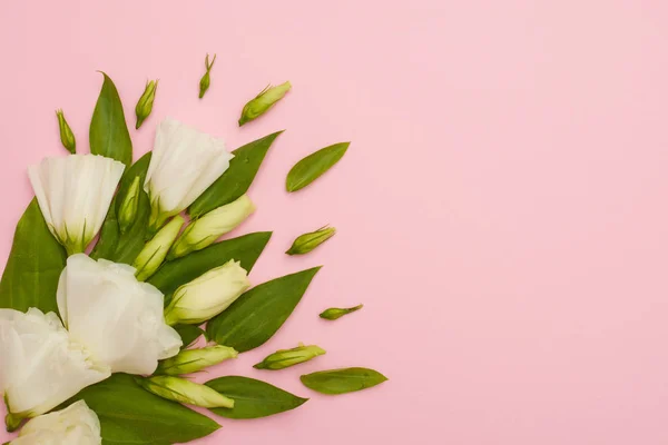 Composición de esquina de flores de eustoma blanco sobre fondo rosa Imagen De Stock