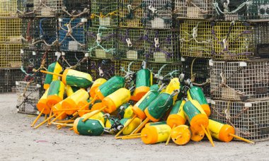 Istakoz tuzaklar ve sahipleri tanımlamak için şamandıralar birbirinin üstüne Maine okyanusa yayılmaya hazır dizilir.