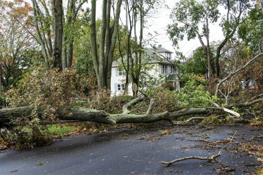 Benim mahallede Babylon New York'ta imha sonra süper fırtına Hurricaine Sandy Ekim 2010 yılında.