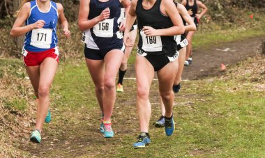 Geç sonbaharda bir kros invitatiional yarış sırasında ormanda bir kir yolda yüksek okul kızları.