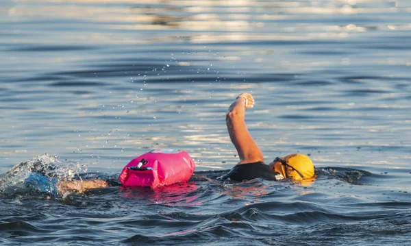 Une Nageuse Nage Dans Baie Avec Flottant Rose Qui Sauve — Photo