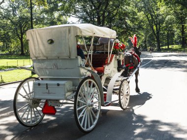 Bir kırmızı ve beyaz at boğmak carraige alıyor turistler bir beuatiful central Park bir tur üzerinde yaz sabahı.