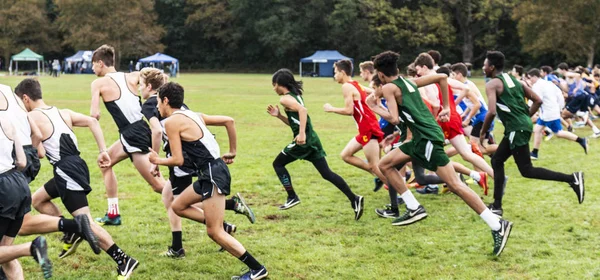 Bronx New York Usa Oktober 2018 Gymnasiekillar Cross Country Race — Stockfoto