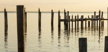 Sunrise kapalı sahil, ateş Adası Ulusal deniz kıyı ile üzerlerine su üzerinde duran martılar Polonyalılar kapalı yansıtan ışık ile.