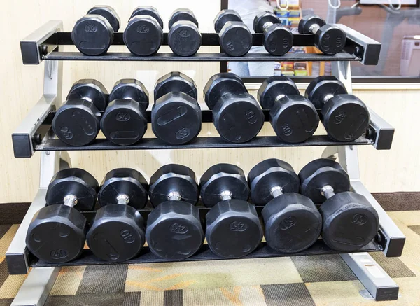 Many dumbbells are on a rack in a hotel gym.