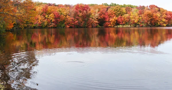 Ripples Form Southards Pond Babylon Bright Autumn Tree Colors Background — Stock Photo, Image