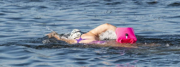 Una Femmina Sta Nuotando Nel Long Island Sound Con Dispositivo — Foto Stock