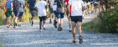 A high achool team of cross country runners is running away from the camera on their way back from the fire island lighthouse.