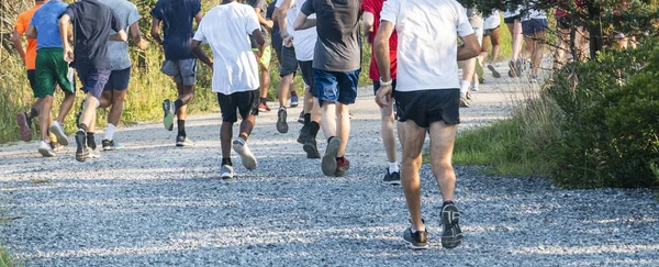 High Achool Team Cross Country Runners Running Away Camera Way — Stockfoto