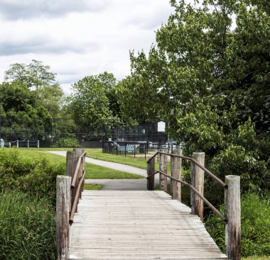 Bir akışı ile uzun boylu ot ve çalılar çevresindeki küçük bir ahşap köprü bitti.