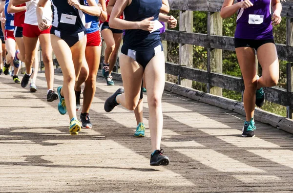 Muchos Corredores Una Carrera Chicas Secundaria Cruzan País Corriendo Por —  Fotos de Stock