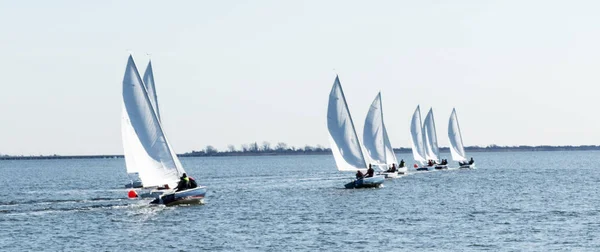 Seilbåter kjører i regatta om vinteren. – stockfoto