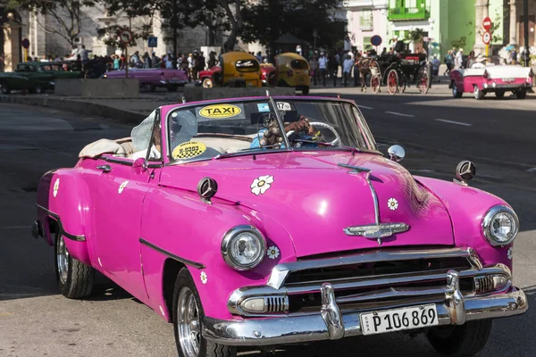 Винтажный PNK Chevrolet кабриолет используется в качестве такси в Гаване Куба — стоковое фото